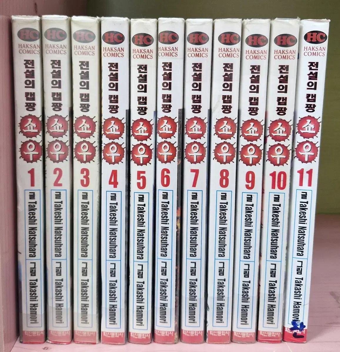 Manga Legend of Captain Tsubasa 1-11 Complete