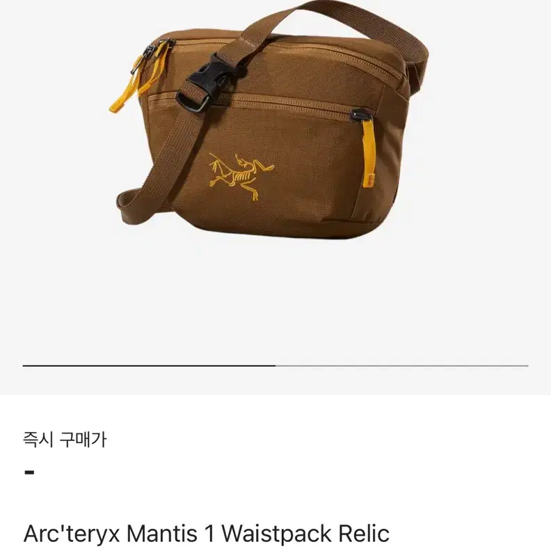 아크테릭스 맨티스 1 웨이스트백 렐릭