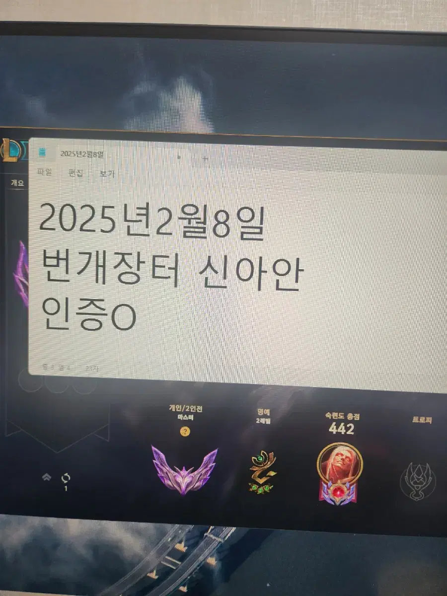 롤 개인강사