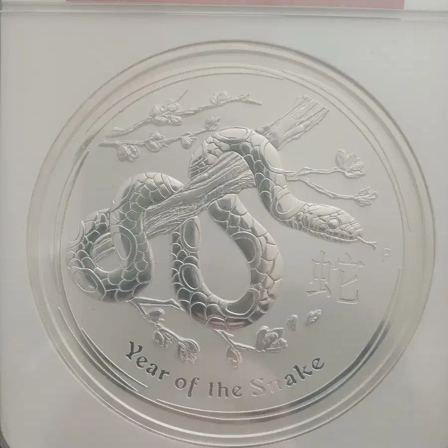 2013년 호주 1kg 뱀의 해 뱀띠 킬로 은화 NGC MS70