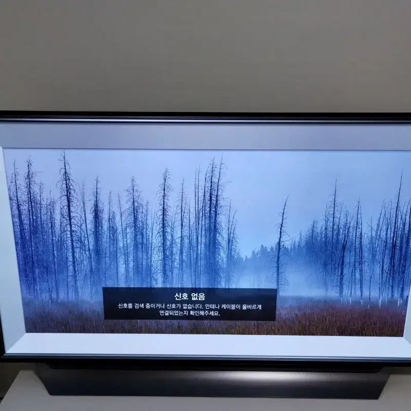 LG OLED55C8CNA TV 스탠드형