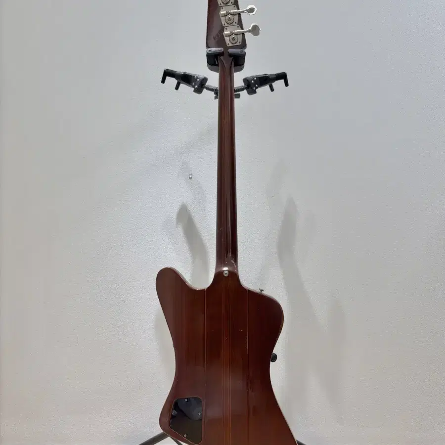 1976 깁슨 썬더버드 [Gibson Thunderbird Bicente