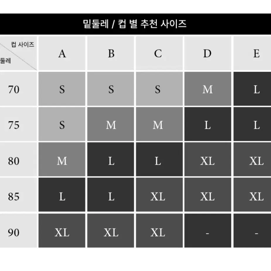 에블린 속옷