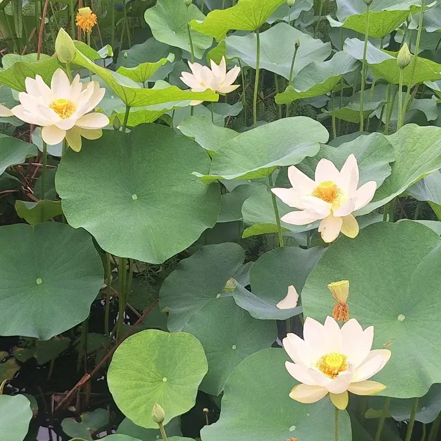 개인결제창   오**님   볼락로드 외  바다루어