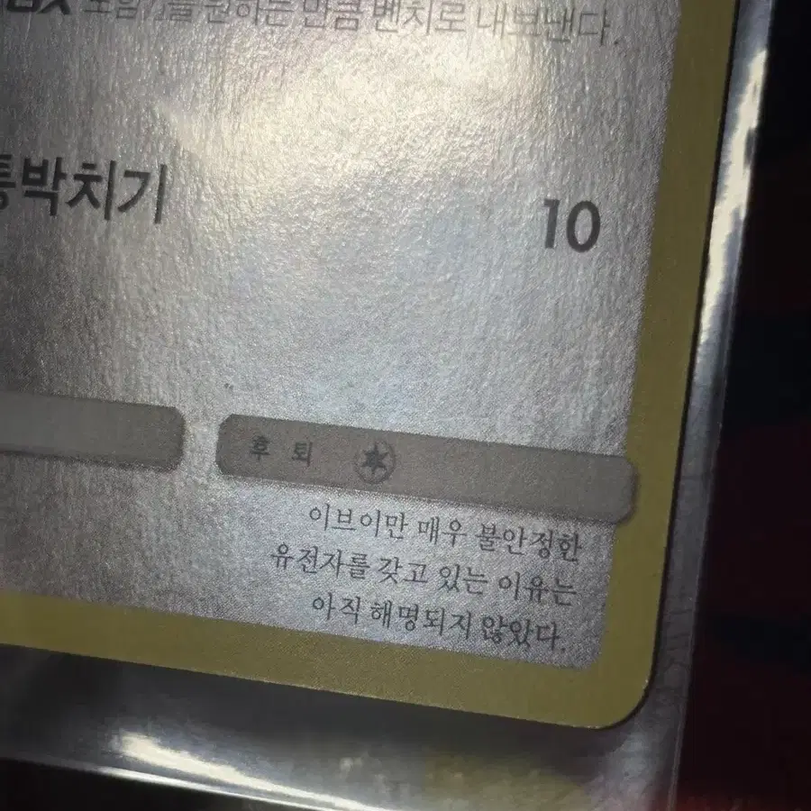 포켓몬스터 이브이 포켓몬 카드 인테리어 소품 10 꾸미기용 포장용