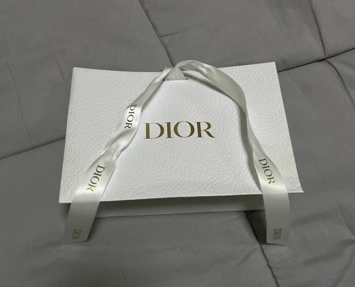 Dior shopping bag