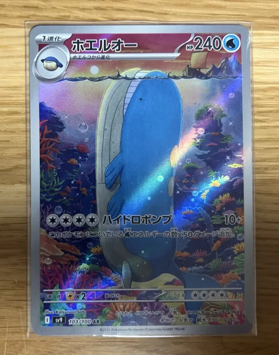 Pokémon Battle Partners Whale King Ar Edition