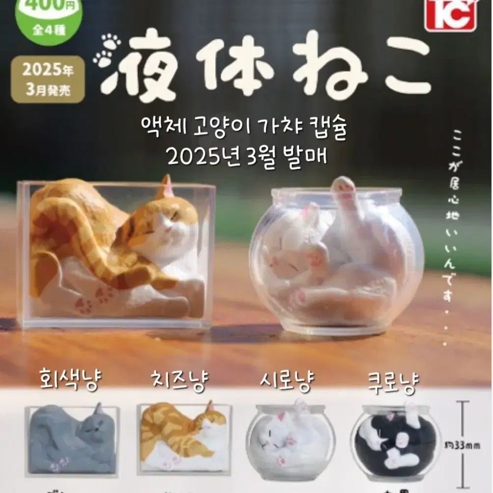 액체 고양이 가챠 피규어 ( 2025년 3월 발매 )