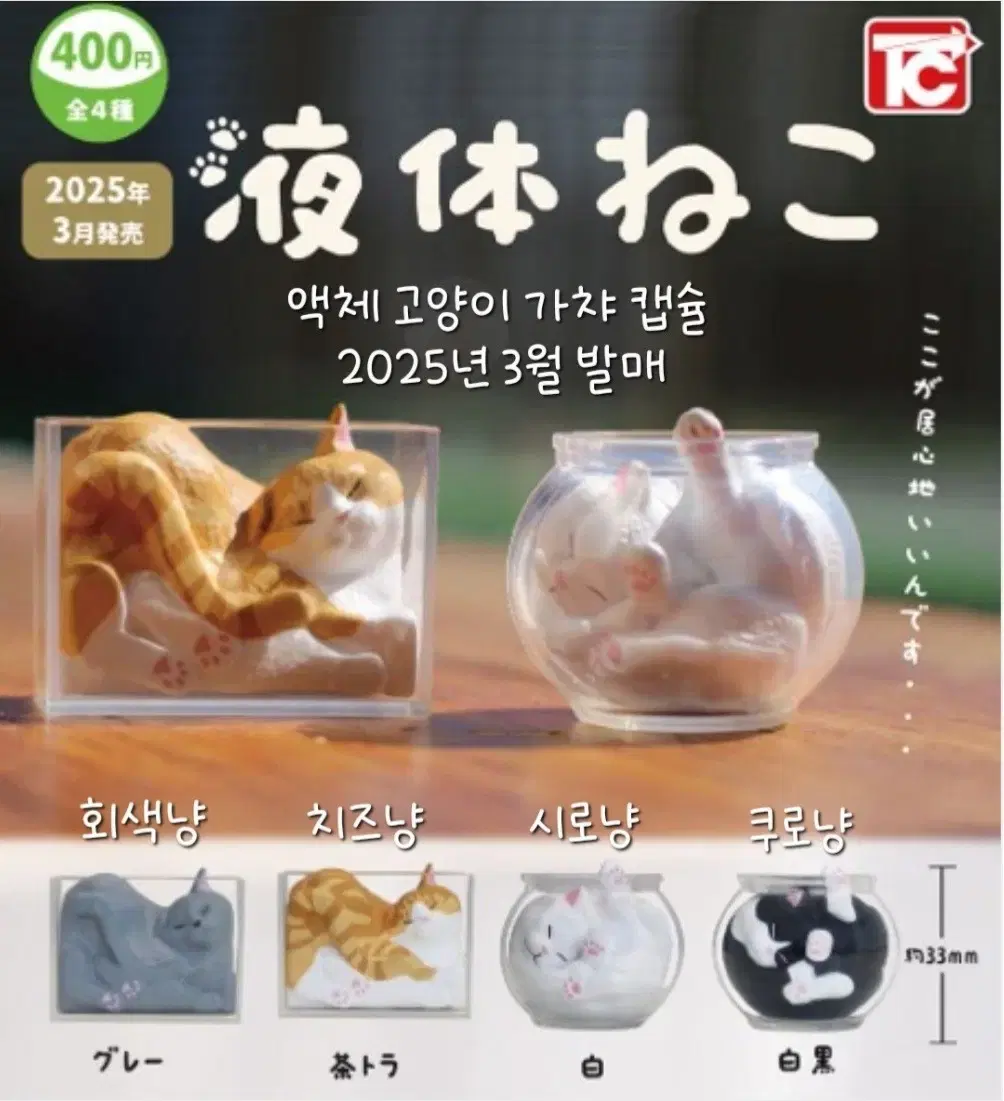 액체 고양이 가챠 피규어 ( 2025년 3월 발매 )