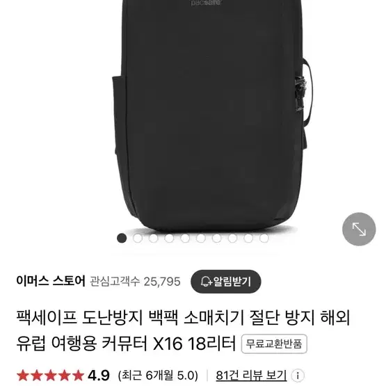 팩세이프 백팩