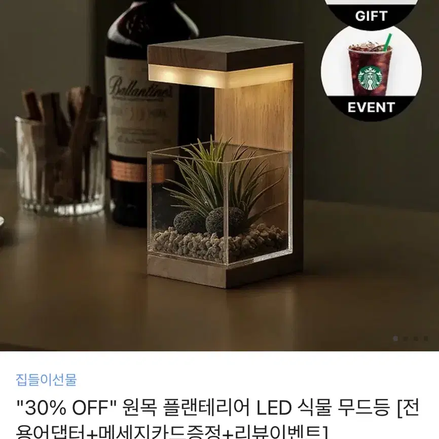 원목 플랜테리어 LED 식물 무드등