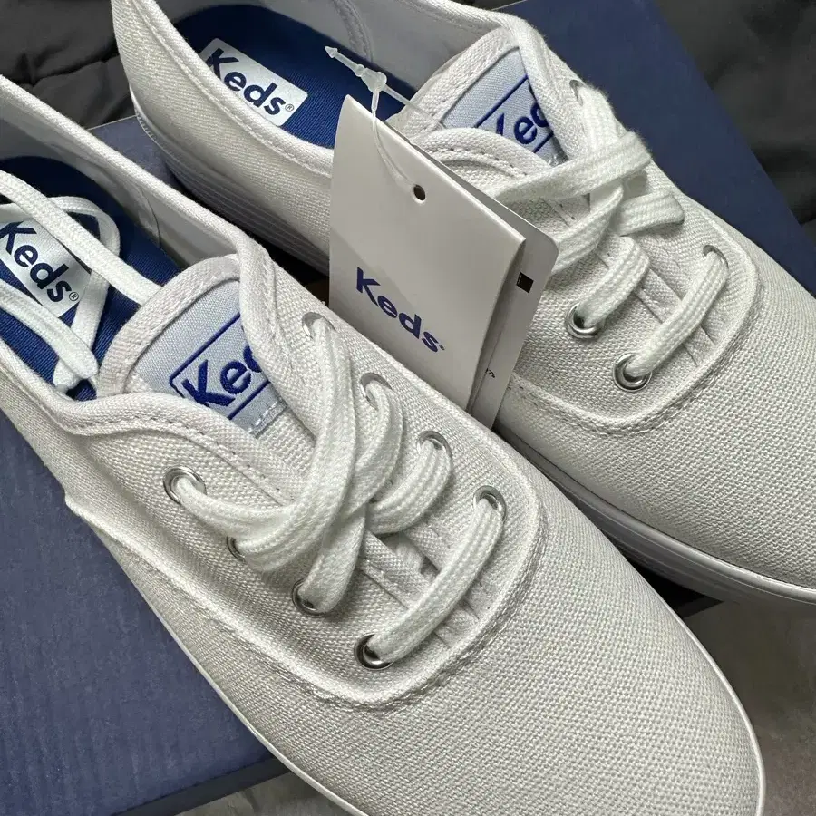 Keds 트리플 캔버스 화이트 245