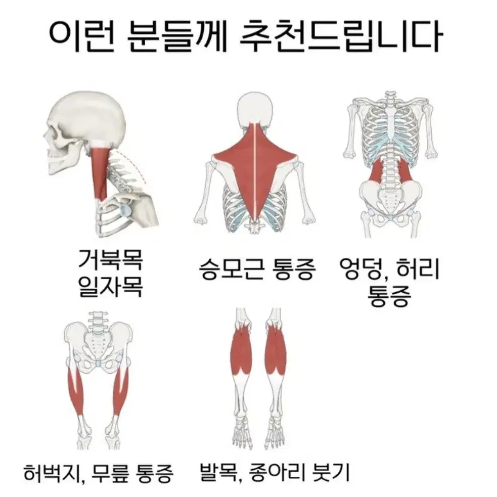 베개 마사지기