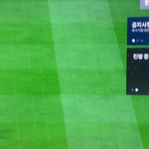 피파 굿즈