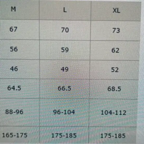 참피온 야구점퍼 스타장 빅사이즈L 바시티