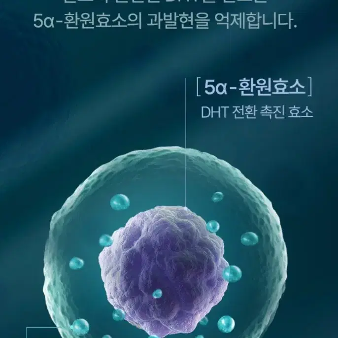 비엘모 두피토너 대용량 120ml (탈모완화 기능성), 120ml, 1개