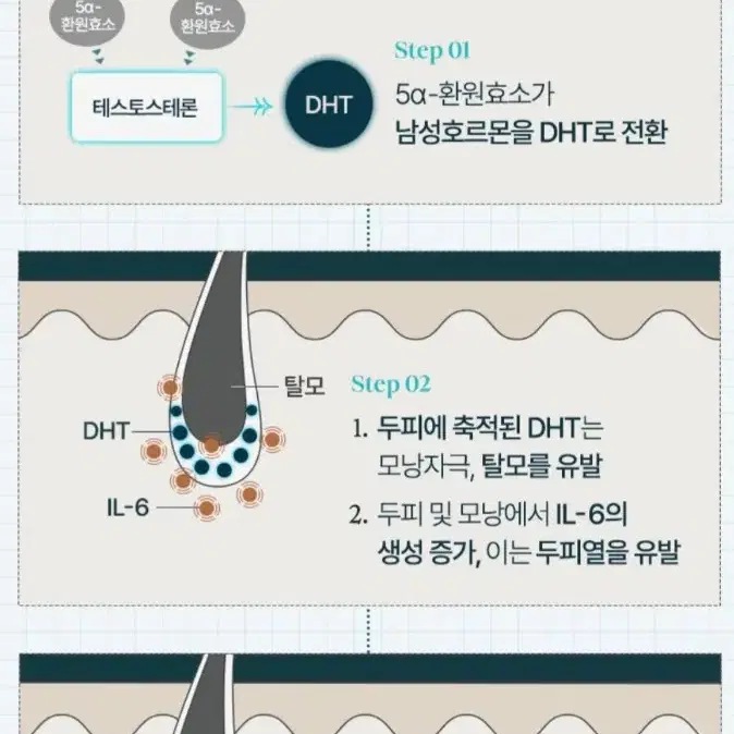 비엘모 두피토너 대용량 120ml (탈모완화 기능성), 120ml, 1개