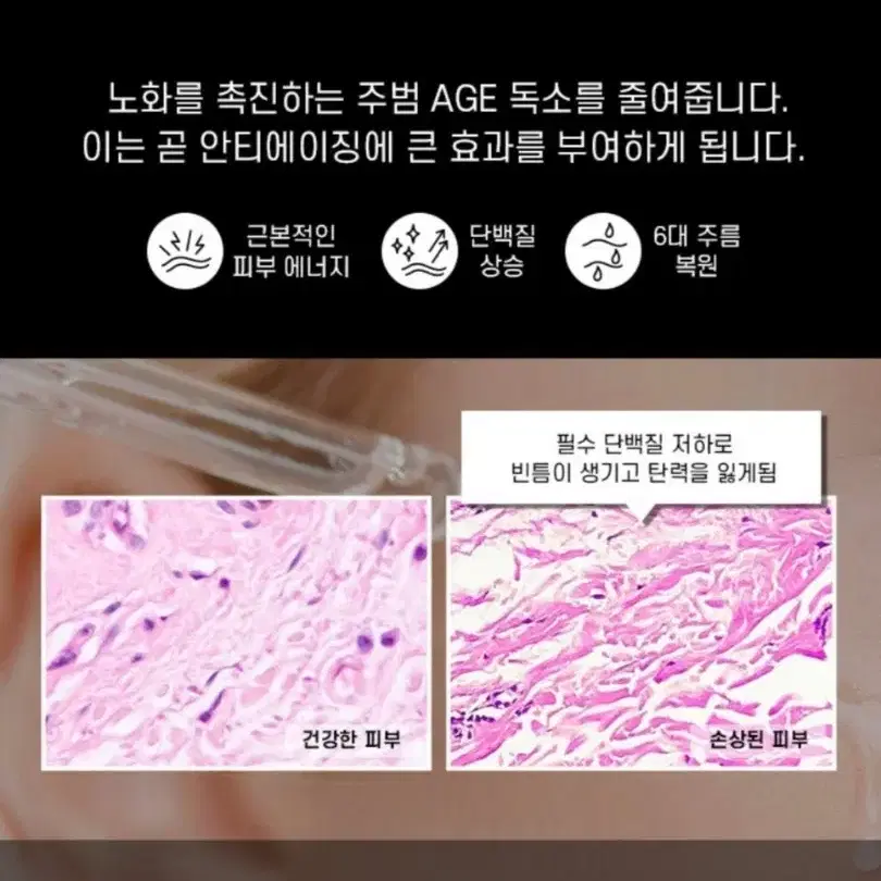 화사 진짜 펩타이드 5% 목 이마 입가 눈가 팔자 미간 6종 주름 개선