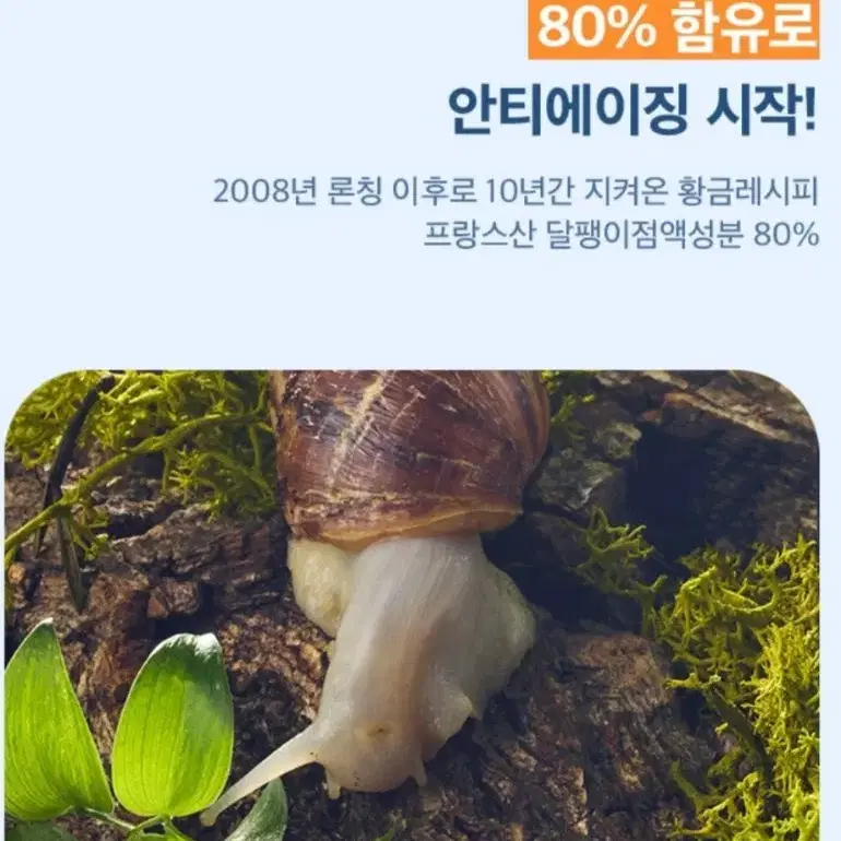 100시간 수분지속 보습을 원한다면 찐 달팽이크림 에스카르고 리페어 크림