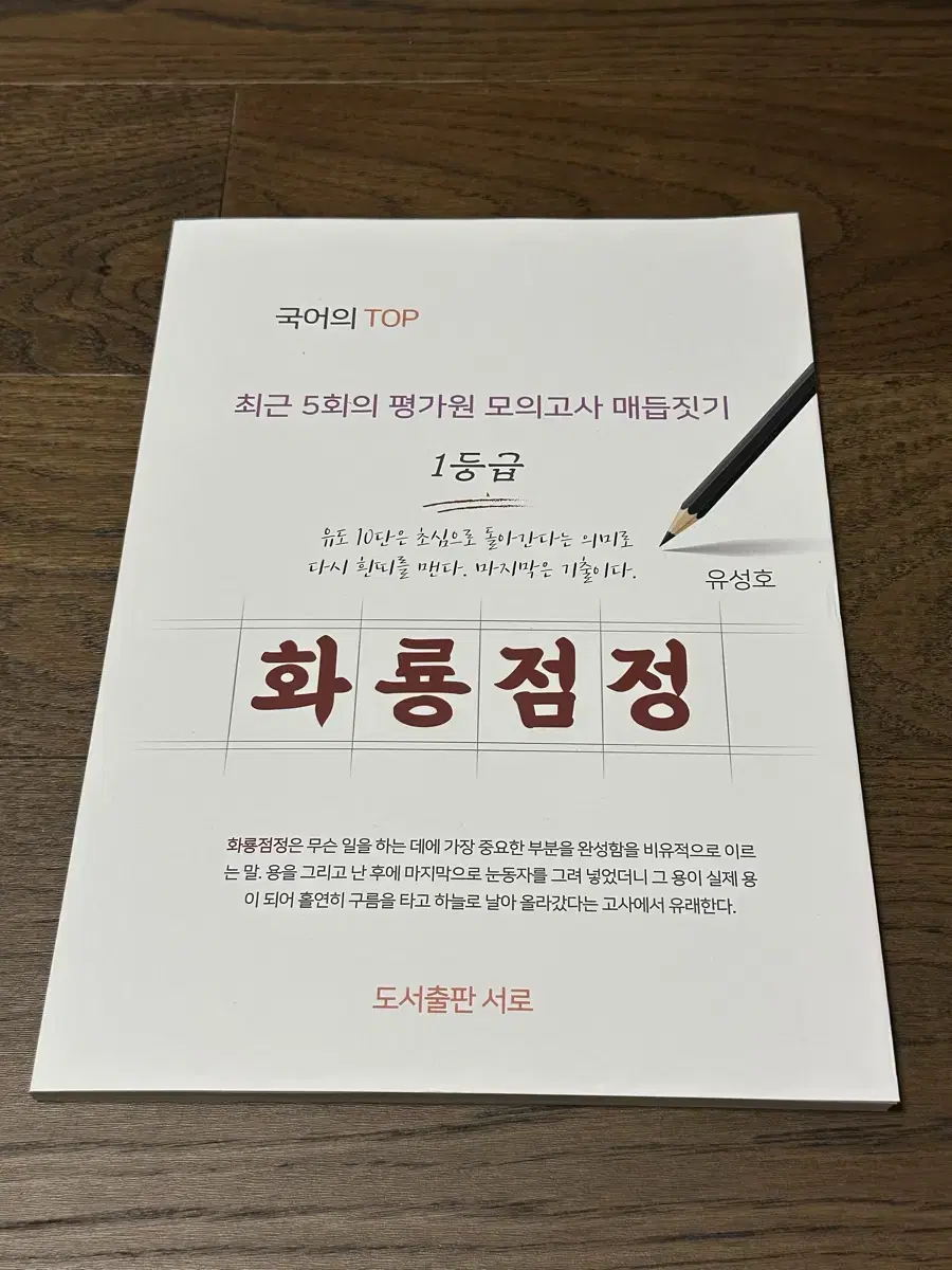 시대인재 유성호 국어 화룡점정