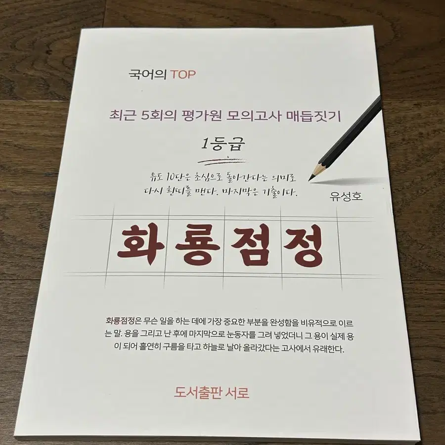 시대인재 유성호 국어 화룡점정