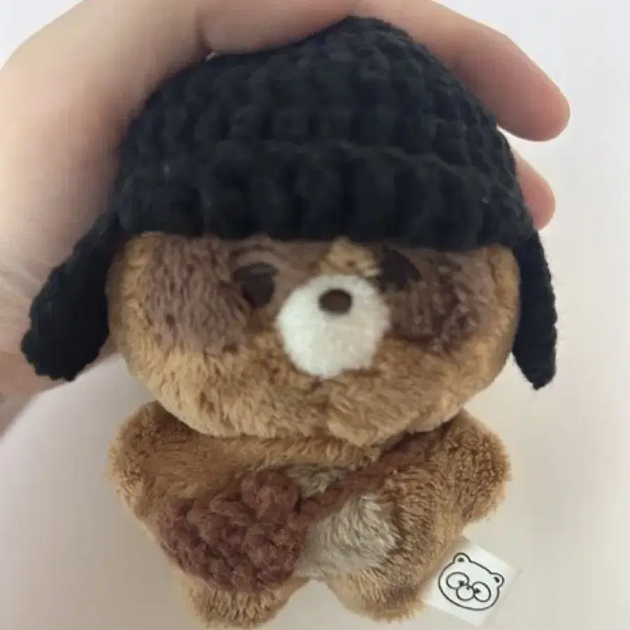 더보이즈 선우 쪼구리 10cm 인형 양도