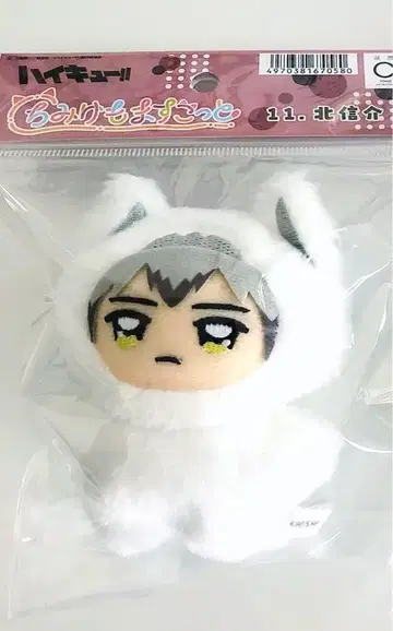 치미케모마 스캇 키타 신스케 하이큐