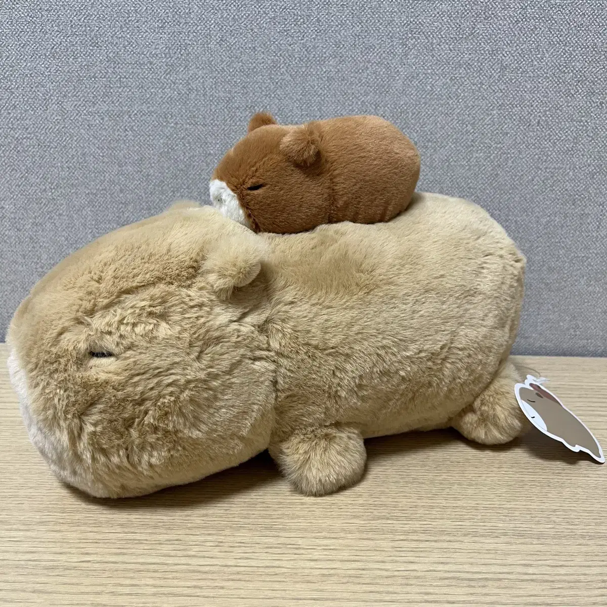 카피바라 어피바라 인형 25cm