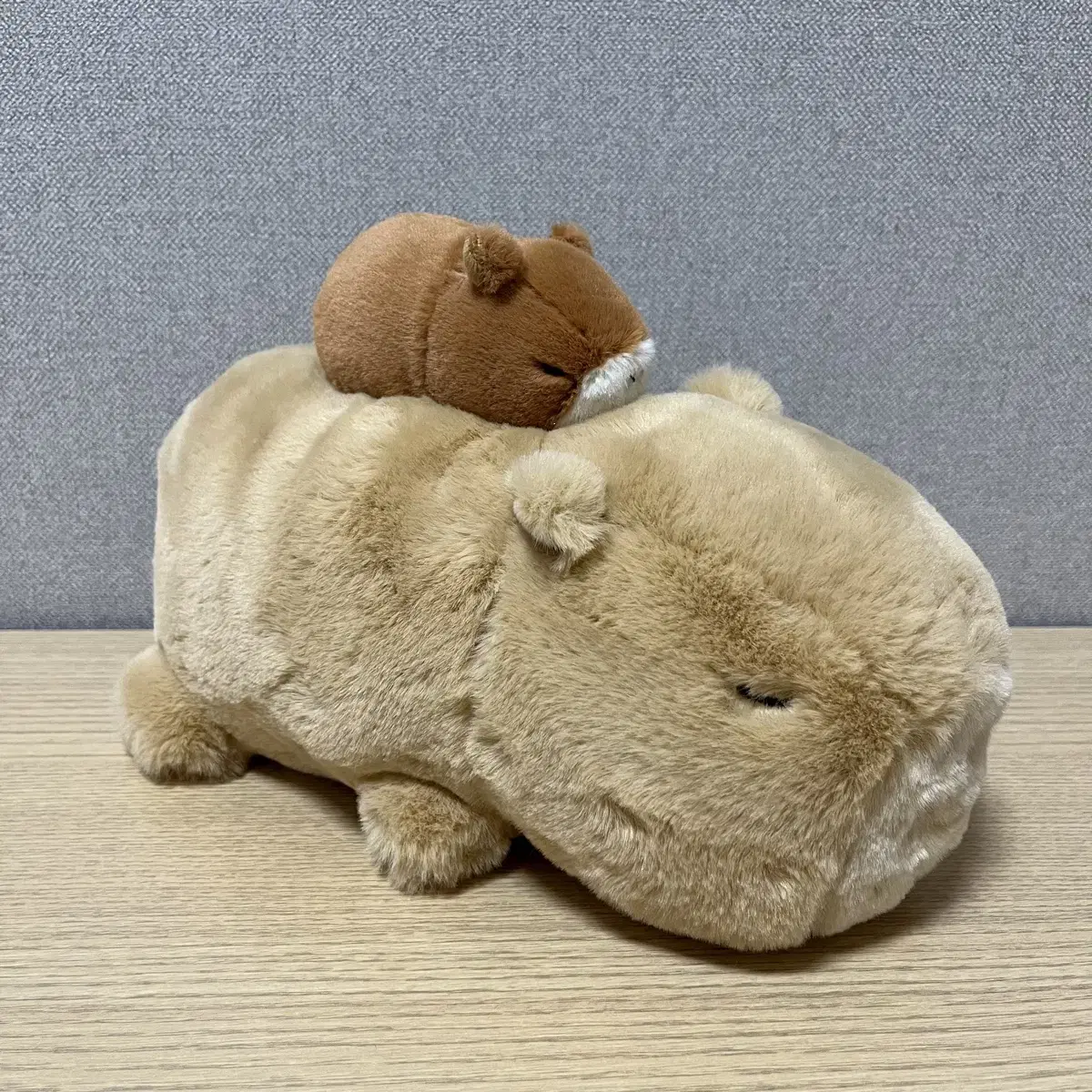 카피바라 어피바라 인형 25cm