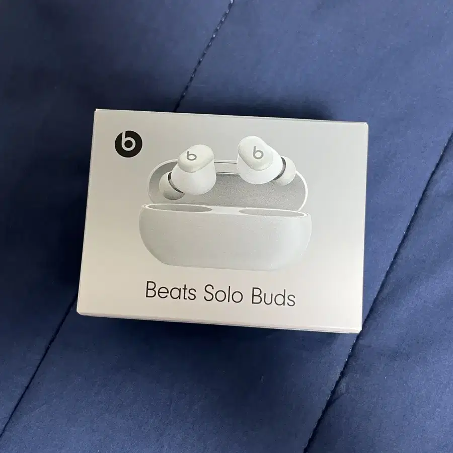 Apple Beats Solo Buds 애플 비츠 솔로 버즈 스톰그레이