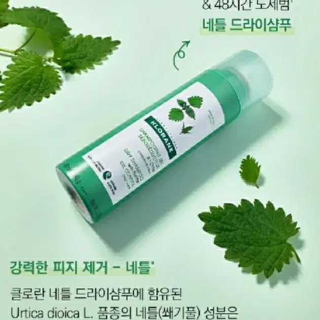 클로란 노세범 드라이샴푸 150ml 새상품