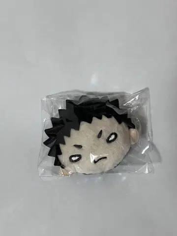 하이큐 !! 아오바조니시 이와이즈미 봉제 인형 배지 일괄 배치