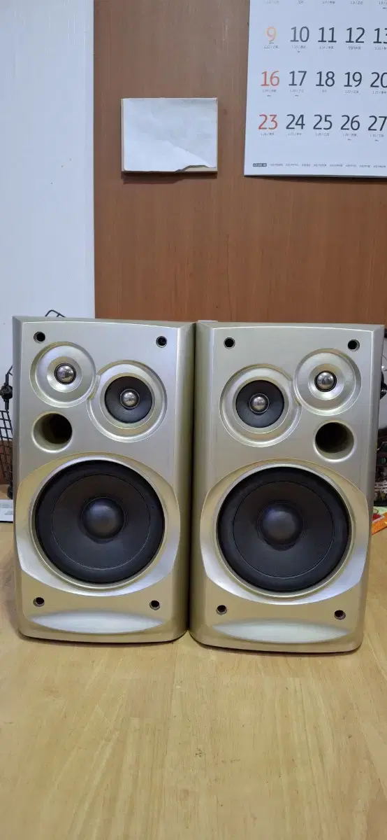 TAEKWANG TSP-390(R) speaker