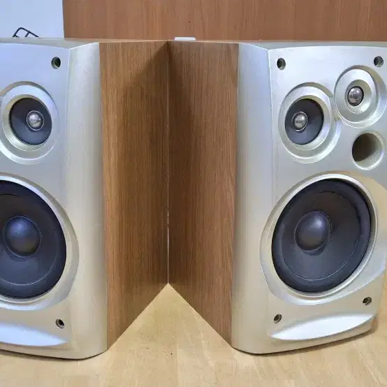 TAEKWANG TSP-390(R) speaker