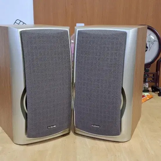 TAEKWANG TSP-390(R) speaker