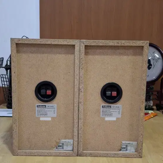 TAEKWANG TSP-390(R) speaker