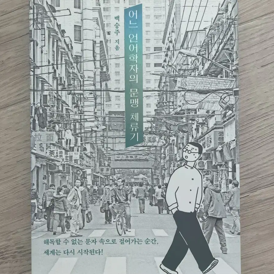 어느언어학자의문맹체류기