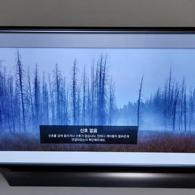 LG OLED55C8CNA TV 스탠드형