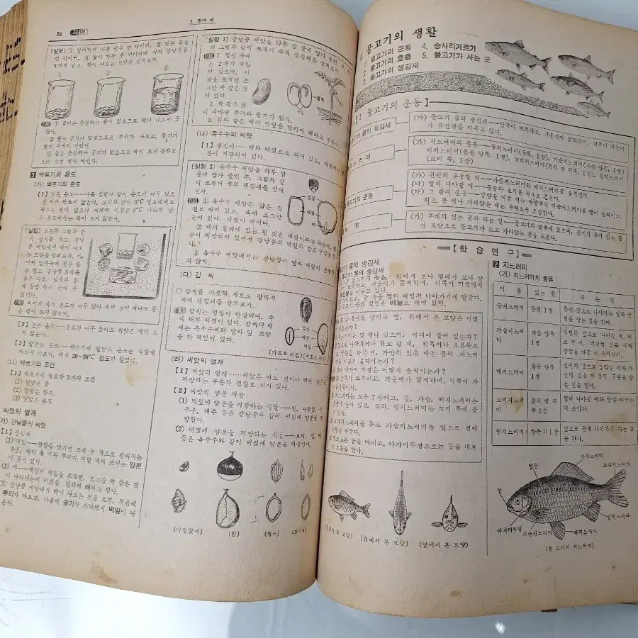 근대사 수집 자료 옛날 국민학교 교육 새전과 71.72년 2권