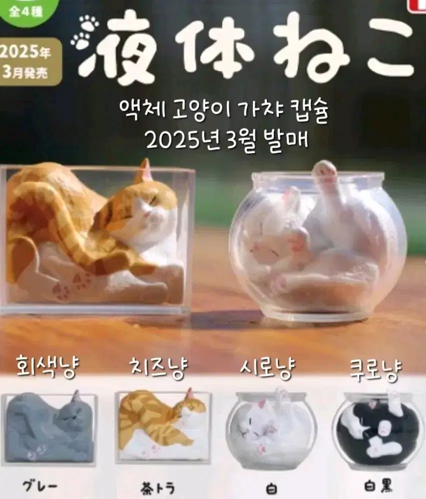 액체 고양이 가챠 피규어 ( 2025년 3월 발매 )