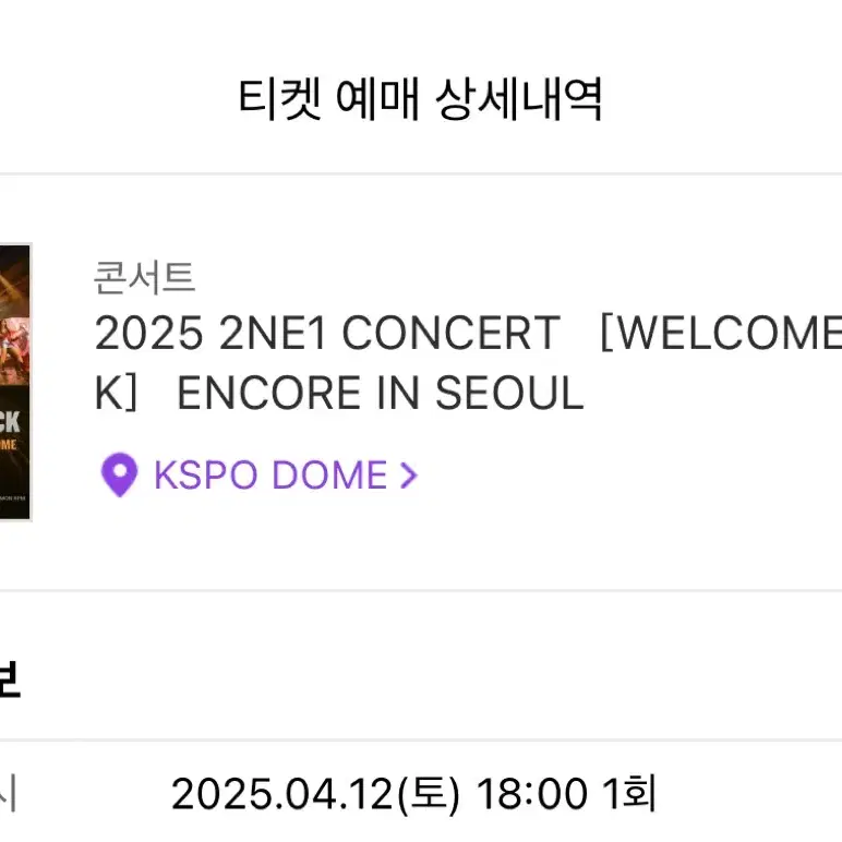 2ne1 콘서트 (토요일, s석31구역)