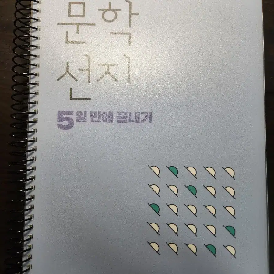 2026학년도 대성 김젬마선생님 선지강화 문학+독서