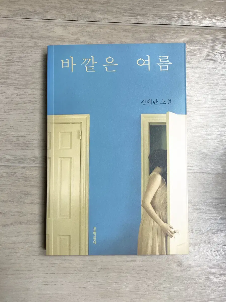 김애란 바깥은 여름