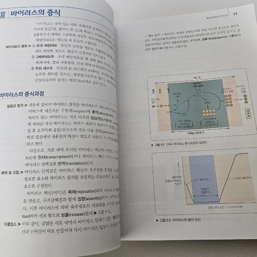 미생물학 (정문각 12판)