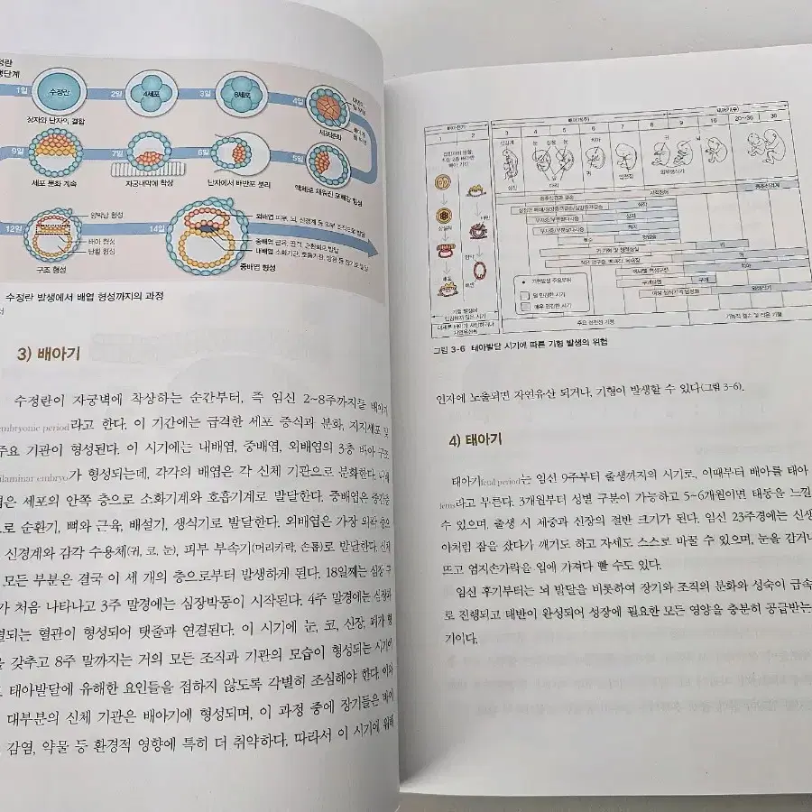 전 생애 인간성장발달 (교문사)