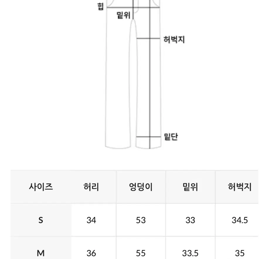 무료배송) 데일리쥬 비죠 핀턱 와이드 슬랙스 FW - 블랙 S