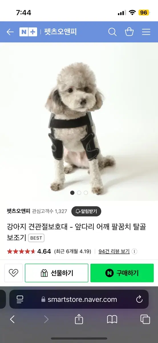 강아지 어깨탈구 견관절 보호대