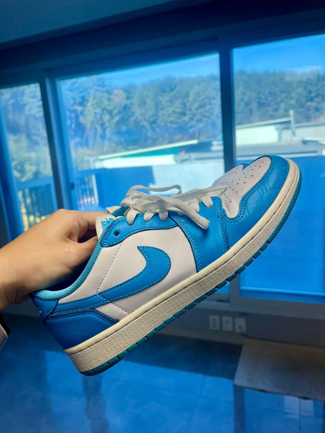 [270]Nike Jordan 1 SB Low UNC University Bloo