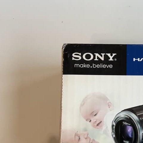 Sony HDR-CX590V