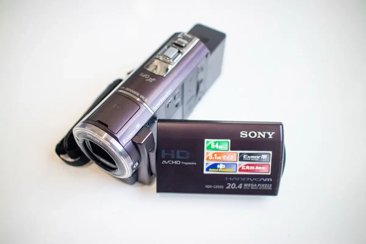 Sony HDR-CX590V